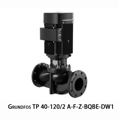 Grundfos TP 40-120/2 Einstufige vertikale Rohrleitung Zentrifugalpumpe Edelstahl Verschleißbeständige Pumpe