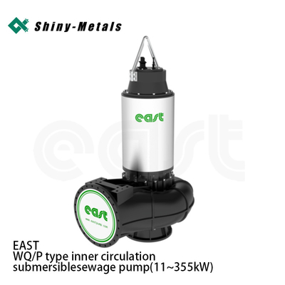 Oost-Wq/P-type onderzeese waterpomp met interne circulatie (11~355kW)