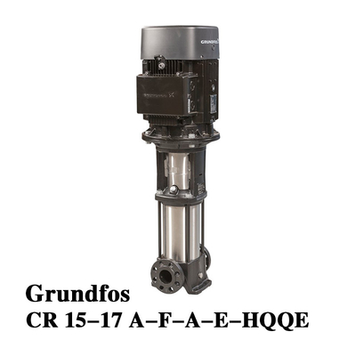 Pompa di ricircolo elettronica Wilo 3 CV Pompa centrifuga Twin Head regolazione automatica della potenza