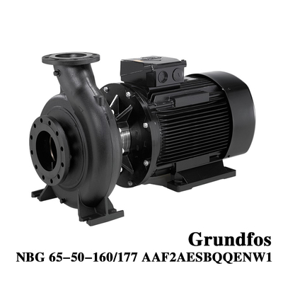 Grundfos NBG 65-50-160/177 Industrial Electric Horizontal Single Stage Volute  Centrifugal Water Pump for Water Conservancy Projects