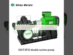 High-Efficiency East Dfss Double Suction Industrial Booster Pump