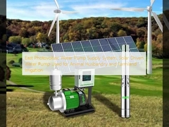 East Photovoltaic Water Pump Supply System, Solar Driven Water Pump Used for Animal Husbandry and Farmland Irrigation