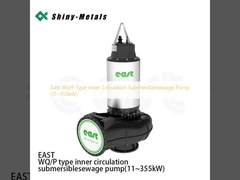 East Wq/P Type Inner Circulation Submersiblesewage Pump (11~355kW)