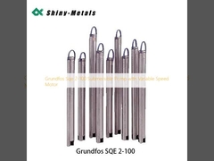 Grundfos Sqe 2-100 Submersible Pump with Variable Speed Motor
