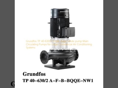 Grundfos TP 40-630/2 Single-stage volute pump Main Circulating Pumps for Large Commercial Air Conditioning Systems