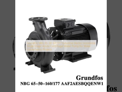 Grundfos NBG 65-50-160/177 Industrial Electric Horizontal Single Stage Volute  Centrifugal Water Pump for Water Conservancy Projects